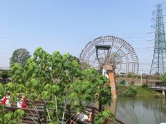 -王借岗森林公园