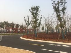 -春花秋色城市公园