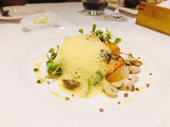 -蝶舍·MAISON PAPILLON