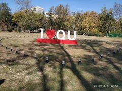 -青岛大学(金家岭校区)