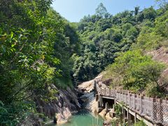 -广州白江湖森林公园