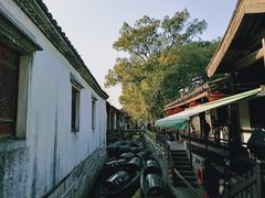 -绍兴鲁迅故里·沈园景区