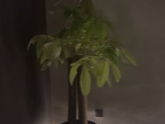 -泰之源足浴会所(玉环店)