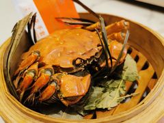 -国惠大酒楼(宝龙店)