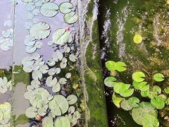 -徐记海鲜·宴会(大唐西市|丰庆店)