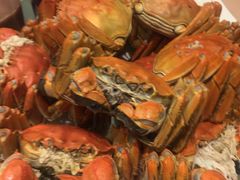 -王宝和酒家(黄浦店)