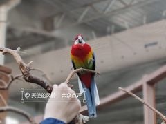 -南宫五洲植物乐园