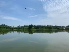 -东郊湿地公园