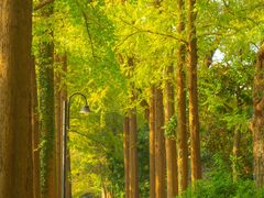 -苏州大学(天赐庄校区)