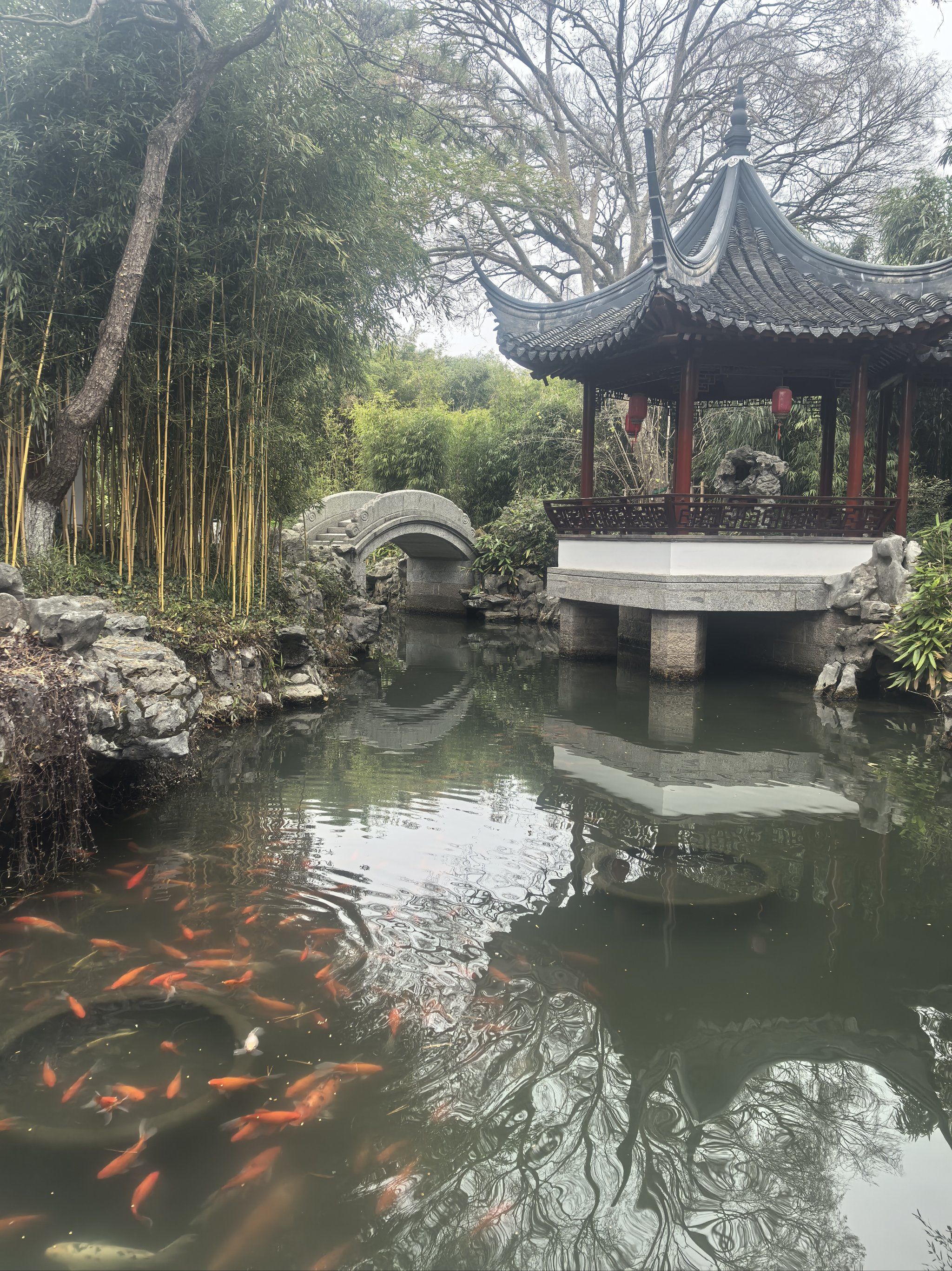 上海青浦大观园 宠物友好