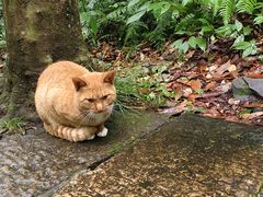 -龚师傅土菜馆.地道农家菜(魅力湘西店)