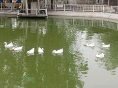 -北京鹿世界主题园