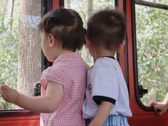 -合肥滨湖国家森林公园