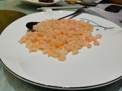 -同济大酒店(绿宝广场店)