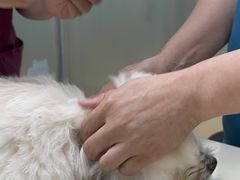 -宠颐生中康贝怡动物医院