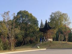 -上海财经大学(国定路校区)