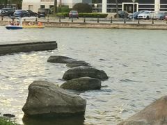 -美兰湖景区