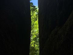 -汤旺河林海奇石景区