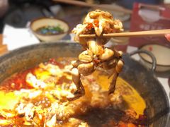 -老天桥蛙炉火锅(姑苏总店)