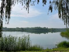 -东郊湿地公园