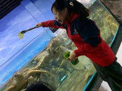 -福州罗源湾海洋世界旅游区