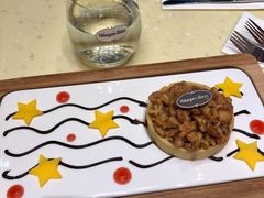 巧克力片-哈根达斯(卓展店)