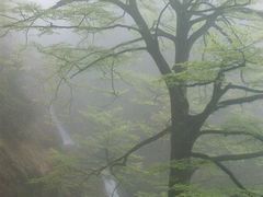 -大明山自然探索公园
