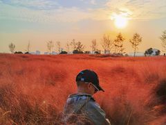 -汉长安城未央宫国家考古遗址公园