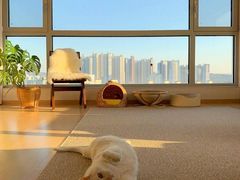 -星皖工长俱乐部·老房装修