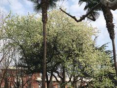 -复旦大学光华楼