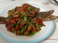 -煲来饱去冷水鱼