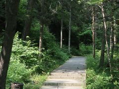 -汤旺河林海奇石景区