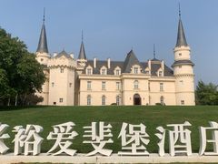 -北京张裕爱斐堡酒庄