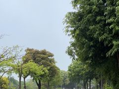 -厦门园林博览苑