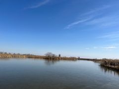 -盐城丹顶鹤湿地生态旅游区