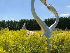 -天津武清北运河郊野公园房车露营地