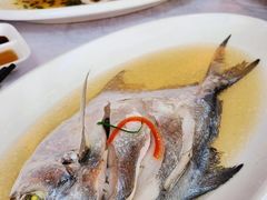清蒸鲳鱼-渔满仓海鲜渔家(象山二店)