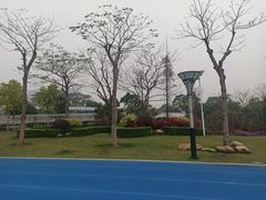 -文华公园(禅城区)