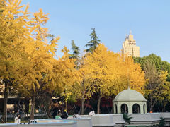 -中山公园