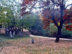 android_upload_pic-八大关景区