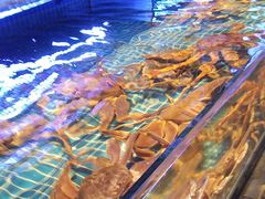 -驻海渔市(置信店)