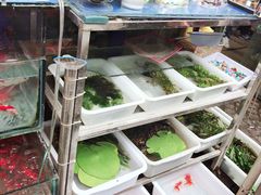 -曲阳花鸟市场(曲阳路店)