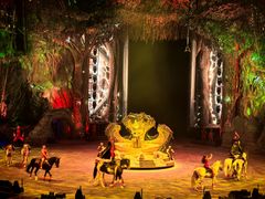 -广州长隆国际大马戏