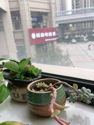 点击看大图 -尚艺造型.剪烫染.接发