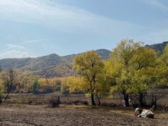 -塞罕坝国家级自然保护区