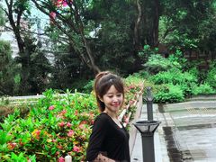 -九龙公园