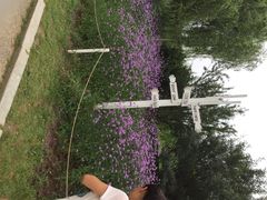 沈阳世博园-沈阳植物园