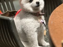 -巴倒烫陆派火锅山庄(南山总店)