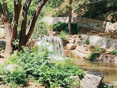 -北京西山国家森林公园