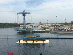 -秦皇岛乐岛海洋王国